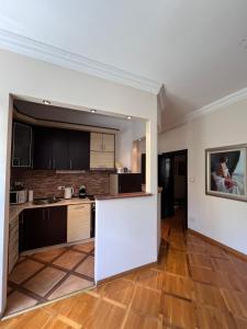 Kuchyň nebo kuchyňský kout v ubytování Apartman Sasha 1 - Ask for free parking