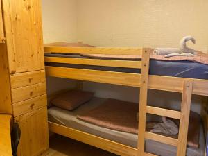 a bunk bed with three bunk beds in a room at Holiday Home - Palček in Čatež ob Savi