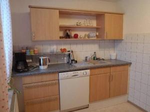 a small kitchen with a sink and a dishwasher at Erzgebirge in Johanngeorgenstadt