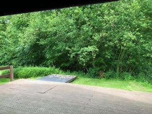 a view of a yard with a bench and trees at Charmantes Ferienhaus Iris Im Waldecker Land in Bad Arolsen