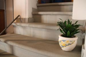 a plant in a pot sitting on a set of stairs at La Corte in Pratovecchio