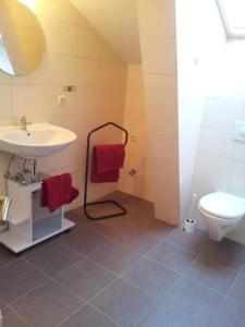 a bathroom with a sink and a toilet at Gemütliche Ferienwohnung In Kuchelmiß Mit Grill, Terrasse Und Garten in Kuchelmiß