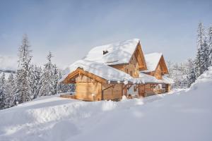 Haus Ostermoasspitz In St, Martin Am Tennengebirge v zimě