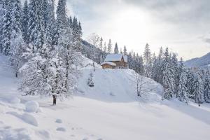 Haus Ostermoasspitz In St, Martin Am Tennengebirge v zimě