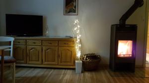 a living room with a television and a fireplace at Ferienwohnung Felsenblick In Loich in Loich +27 photos