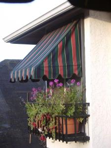 a window box with flowers and a striped awning at Heathergate Cottage and Suites in Victoria