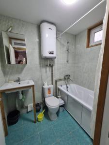 Vannituba majutusasutuses Janym Home