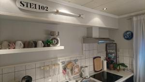 a kitchen with a sink and a counter top at Achtern Diek in Wendtorf +17 photos