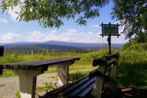 un banc en bois assis au-dessus d'un champ dans l'établissement Fewo Bergkristall, à Sehmatal