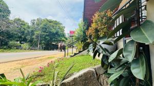 Фотография из галереи Annaliya Urban Nest в Хабаране +17 фотографий