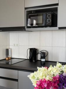 Kuchyň nebo kuchyňský kout v ubytování Apartments Villa Dinka
