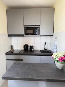 Kuchyň nebo kuchyňský kout v ubytování Apartments Villa Dinka