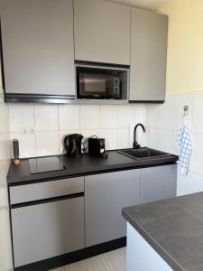 Kuchyň nebo kuchyňský kout v ubytování Apartments Villa Dinka