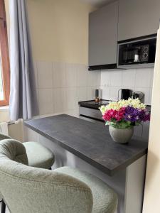 Kuchyň nebo kuchyňský kout v ubytování Apartments Villa Dinka