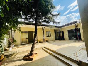 a building with a palm tree in a courtyard at Bete Selam in Bahir Dar