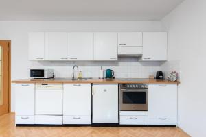 Kuchyňa alebo kuchynka v ubytovaní Bliss Apartment