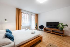 Televízia a/alebo spoločenská miestnosť v ubytovaní Bliss Apartment