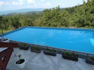 una grande piscina blu con piante in vaso di Jagoda In a Otroci