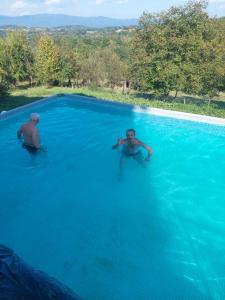 Bazén v ubytování Jagoda In nebo v jeho okolí