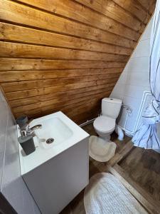 a bathroom with a white sink and a toilet at Cicanesti Mountain Retreat in Bărăşti