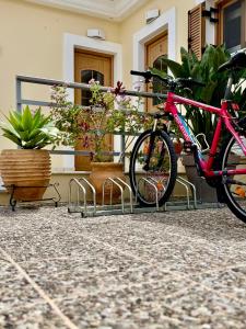 Jízda na kole v ubytování Eleni Suites Methoni nebo okolí