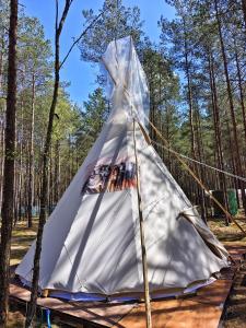 Lanskap alam di dekat tenda glamping