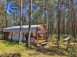 Lanskap alam di dekat tenda glamping