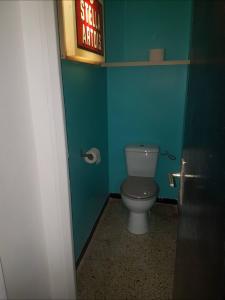 a bathroom with a toilet in a green wall at Appartement centre historique in Beaucaire +3 photos