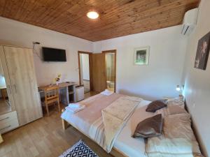 TV a/nebo společenská místnost v ubytování Apartman & Sobe Orhideja