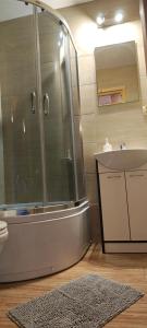 een badkamer met een douche en een wastafel bij Domki Milena in Mieroszyno +17 foto's