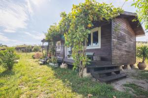 Vonkajšia záhrada v ubytovaní RuralCaMomo