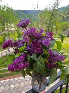 Billede fra billedgalleriet på Villa Sadgeri i Sadgeri