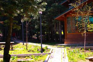 Giardino di Karinna Orman Evleri & Non Alcohol
