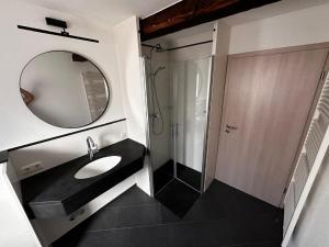 a bathroom with a sink and a mirror and a shower at Ferienwohnung Ilke in Gersfeld +12 photos