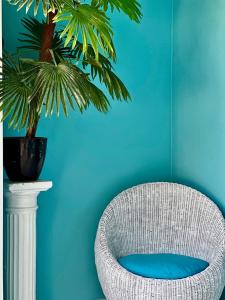 a white wicker chair in a blue room with a plant at Sun Caraibes in Orient Bay