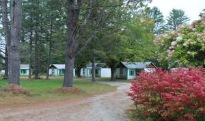a dirt road in front of houses with trees and flowers at Pine Valley Cabins in Thornton