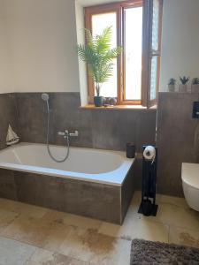 a bathroom with a tub and a toilet and a window at Ferienwohnung Wein in Holzheim am Forst