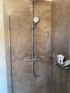 Fotografie z fotogalerie ubytování Ferienwohnung Wein v destinaci Holzheim am Forst + 9 fotografií