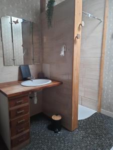 Le Molay-LittryにあるLe PETIT SEJOURの洗面台とシャワー付きのバスルーム