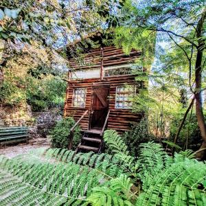 a log cabin in the middle of a forest with plants at CABAÑA STANDARD pileta-cochera in Río Ceballos