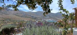 a view from a garden with mountains in the background at Aliori art caves in Aegiali