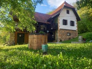 Billede fra billedgalleriet på Etno kuća Milidrag i Foča