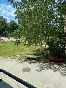 Un jardín fuera de Open Space