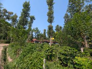 Zahrada ubytování Elite Cottages