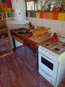 a kitchen with a stove and a counter with a sink at BAJO EL ÑIRE in San Carlos de Bariloche +11 photos