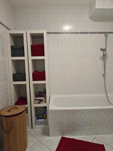 a bathroom with a shower and a bath tub at Ferienwohnung Bad Saarow "Am Märkischen Meer" in Bad Saarow +44 photos