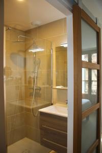 a bathroom with a shower and a sink at Les appart'hotels de la fontaine in Autoire