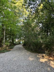 a gravel road in the middle of a forest at Maplewood Cottages 2 in Coloma