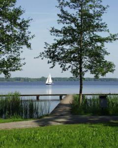 a sailboat on the water with a tree and a path at Hotel Chalet in Bad Zwischenahn