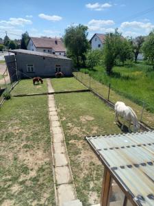 Fotografie z fotogalerie ubytování Michelles FeWo v destinaci Uttenweiler